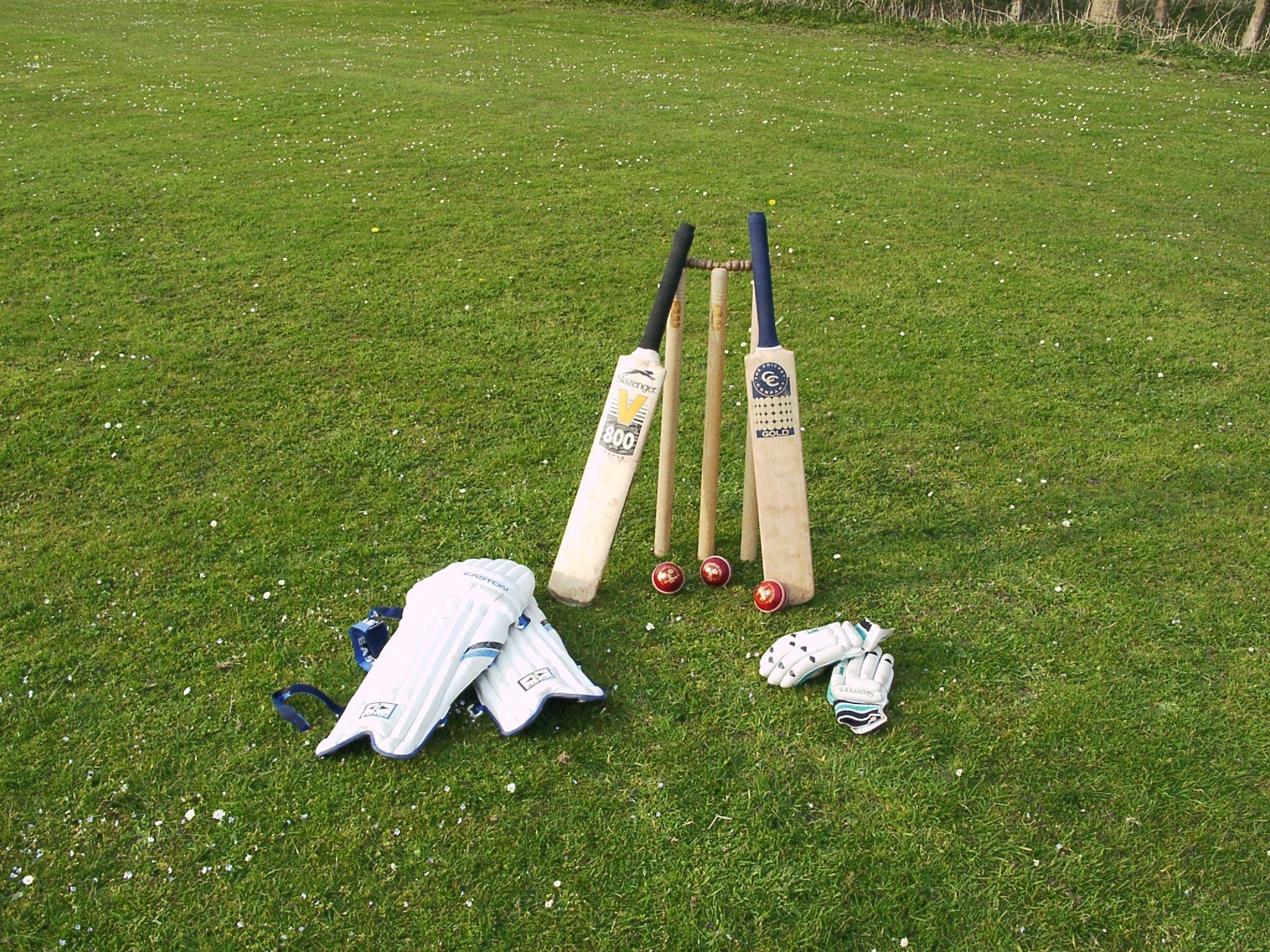 Cricket equipment